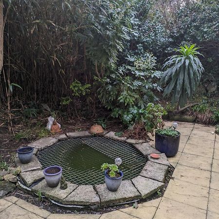 The Garden Apartment St Ives エクステリア 写真
