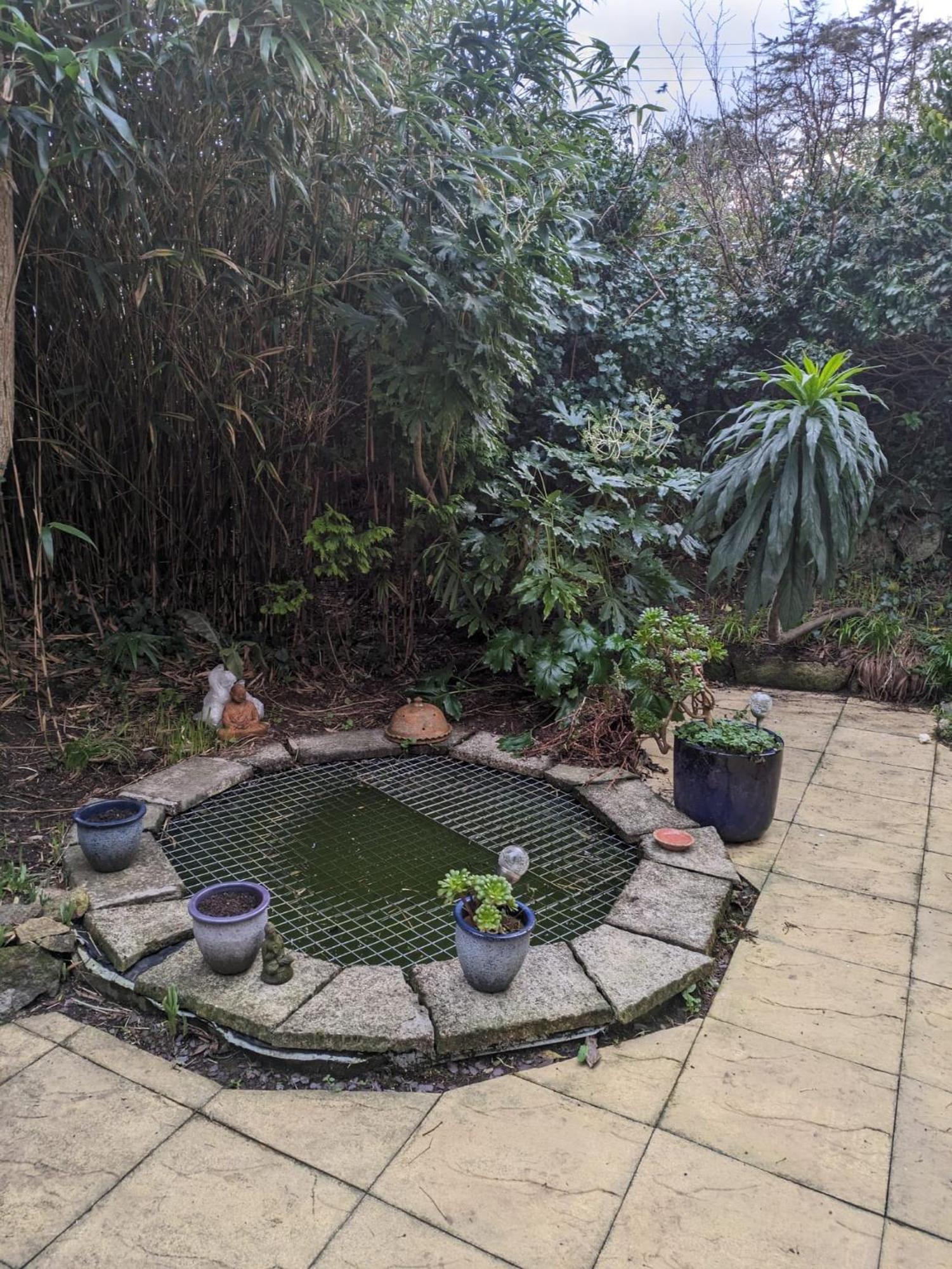 The Garden Apartment St Ives エクステリア 写真